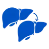 Liver Transplant