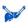 Laparoscopic Liver Resection
