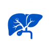 Biliary Reconstruction