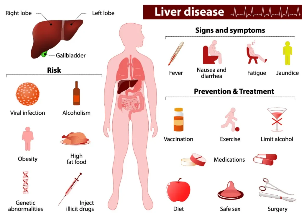 Early Signs of Liver Disease